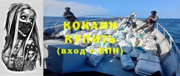 бошки Белокуриха