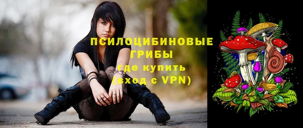 бошки Белокуриха