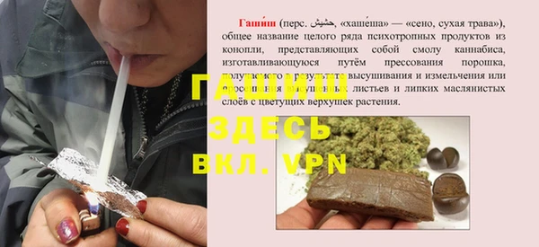 бошки Белокуриха
